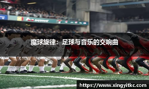 星空体育(中国)官方网站