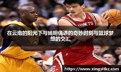 星空体育网站入口