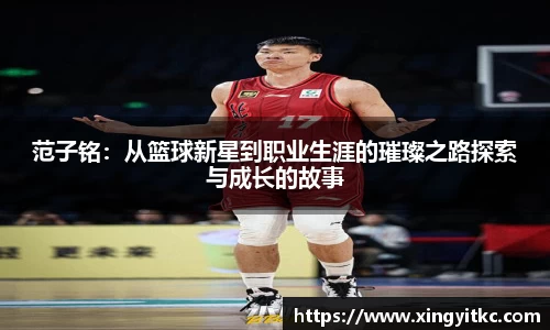 星空体育(中国)官方网站