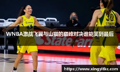 星空体育网站入口